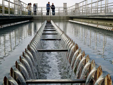 ˮ������������